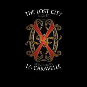 The Lost city Night
