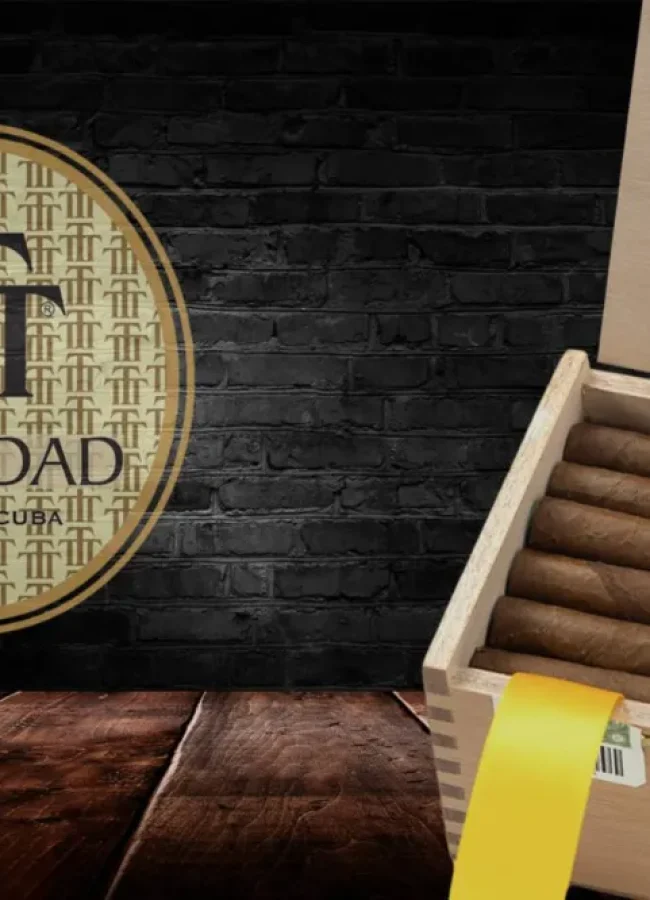 cigare-et-compagnie-soiree-cigare-degustation-cigare-initiation-cigare-soiree-arturo-fuente-la-caravelle-montauban-soiree-signature-trinidad-4