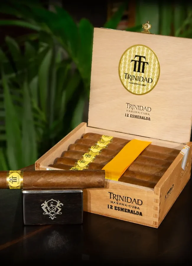 cigare-et-compagnie-soiree-cigare-degustation-cigare-initiation-cigare-soiree-arturo-fuente-la-caravelle-montauban-soiree-signature-trinidad-5