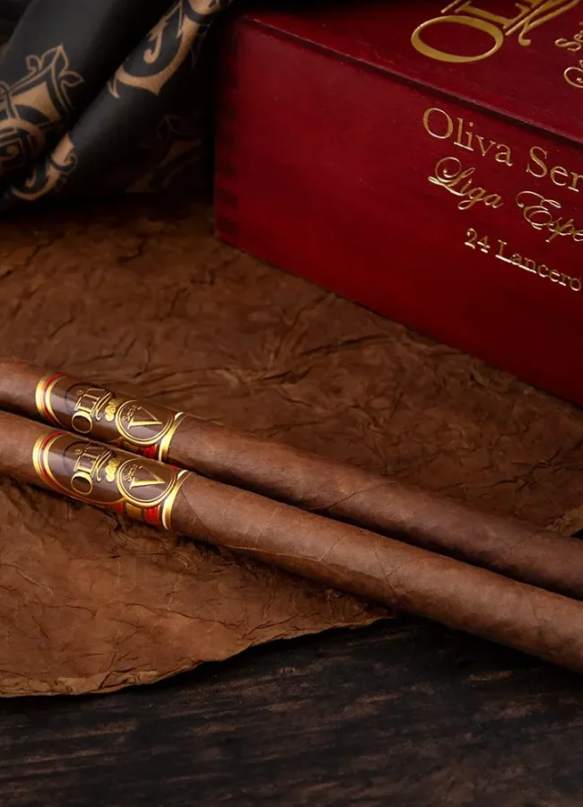 cigare-et-compagnie-video-cigare-organisation-soiree-cigare-debutant-aficionado-initiation-diner-cigare-il-fiorentino-restaurant-italien-montauban-sigaro-a-firenze-29-janvier-2026-2