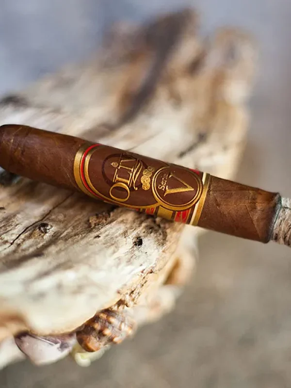 cigare-et-compagnie-video-cigare-organisation-soiree-cigare-debutant-aficionado-initiation-diner-cigare-il-fiorentino-restaurant-italien-montauban-sigaro-a-firenze-29-janvier-2026-6