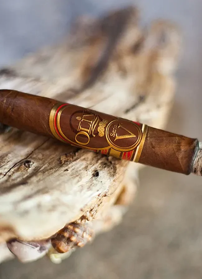 cigare-et-compagnie-video-cigare-organisation-soiree-cigare-debutant-aficionado-initiation-diner-cigare-il-fiorentino-restaurant-italien-montauban-sigaro-a-firenze-29-janvier-2026-6
