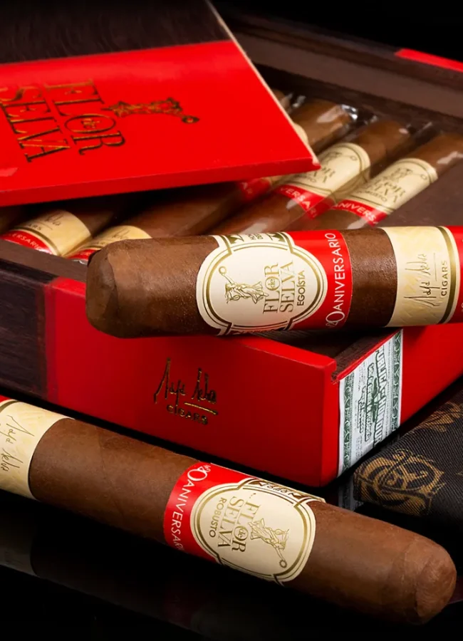 cigare-et-compagnie-video-cigare-organisation-soiree-cigare-debutant-aficionado-initiation-diner-cigare-o-temple-montauban-10-decembre-2025-06