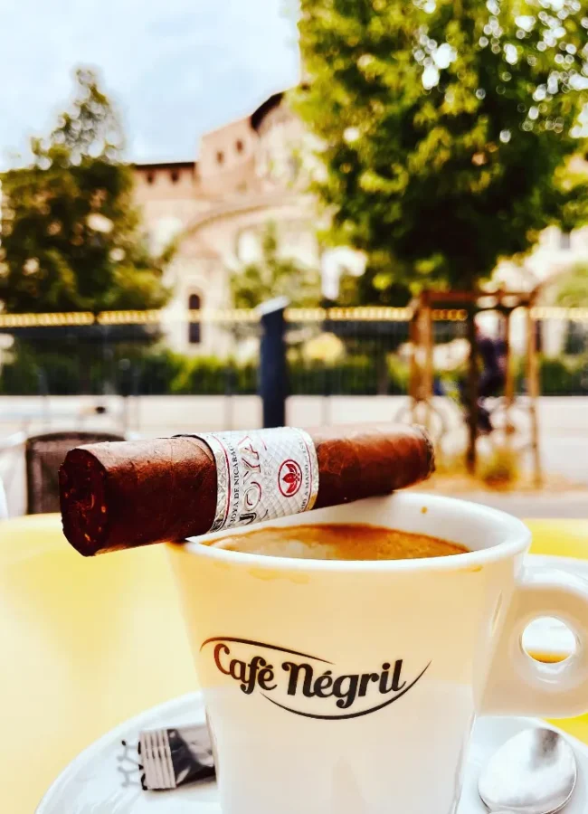 cigare-et-compagnie-video-cigare-sommelier-cigare-soiree-cigares-news-demander-une-animation-cigare-4